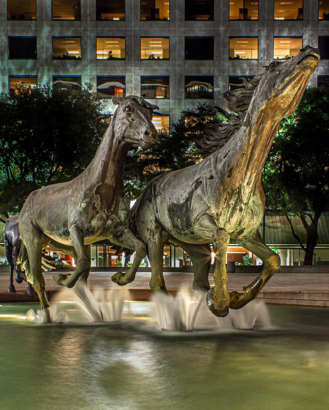 Property managers in Irving Texas