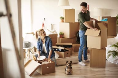 The Pros and Cons of a Pet-Friendly Rental Property