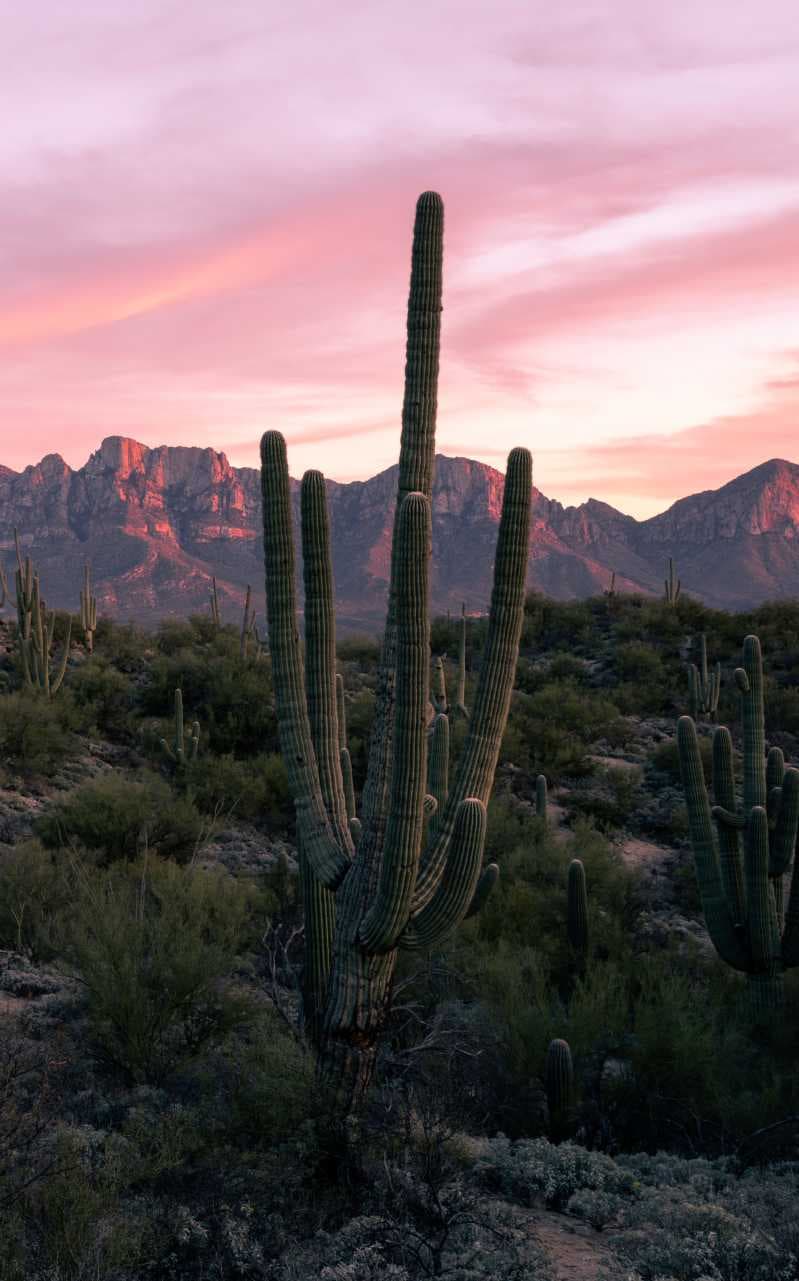 Property managers in Rincon Valley Arizona