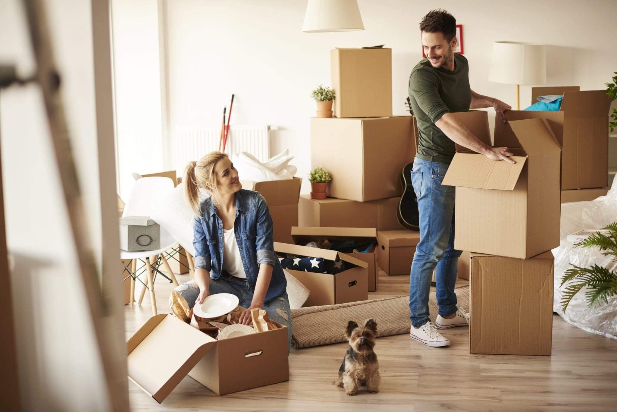 The Pros and Cons of a Pet-Friendly Rental Property