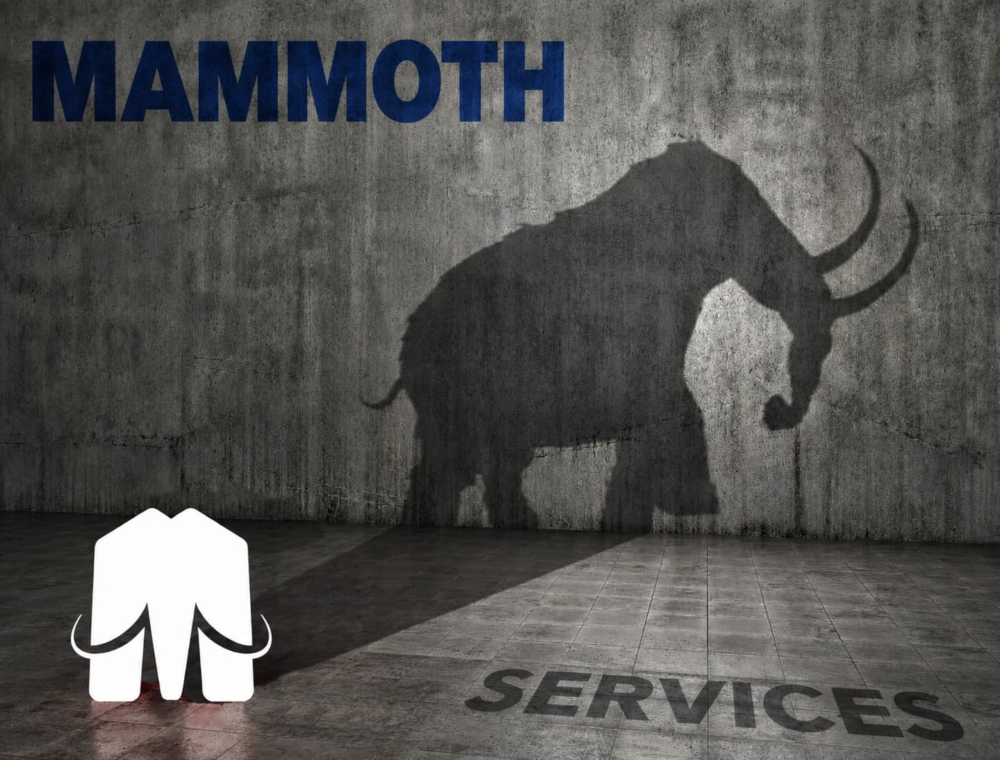 Mammoth Services logo and a mammoth silhouette cast on a concrete wall